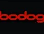 Bodog Casino